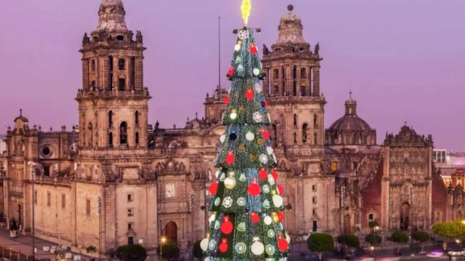 Árbol de Naviadmx